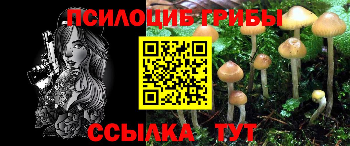 Галлюциногенные грибы MAGIC MUSHROOMS Ахтубинск