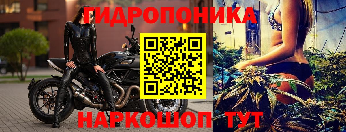 Марихуана OG Kush  Вход с VPN  Ахтубинск  МАРИХУАНА тримм  Конопля THC 21% 